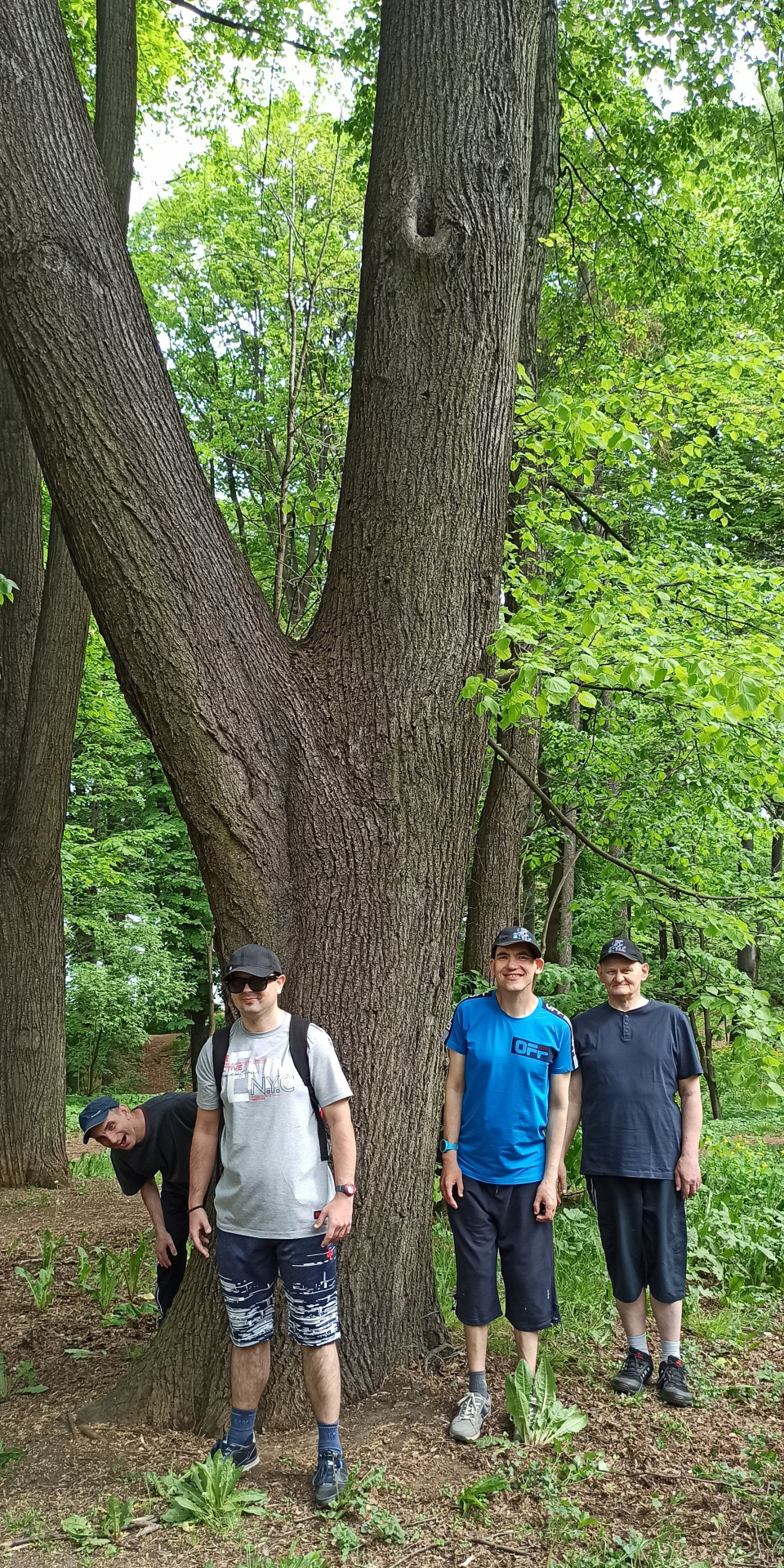 Zdjęcie przedstawia czterech podopiecznych. Trzech z nich stoi obok drzewa, a jeden się zza niego wychyla.