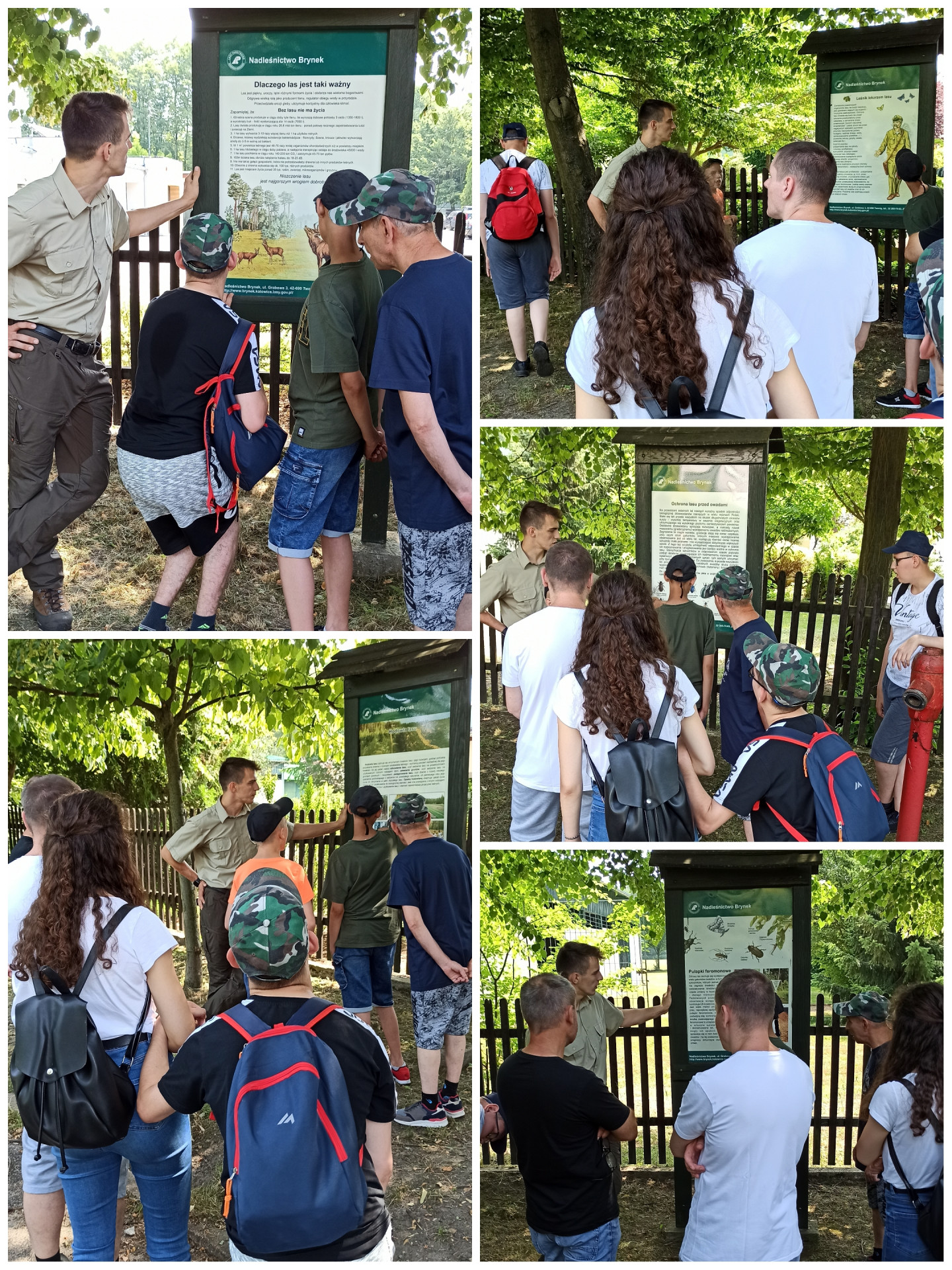 Kolaż z pięciu zdjęć. Mieszkańcy, wolontariuszka oraz pan leśnik stoją na świeżym powietrzu, oglądają gabloty edukacyjne dotyczące lasu oraz rozmawiają o treściach w nich zawartych.